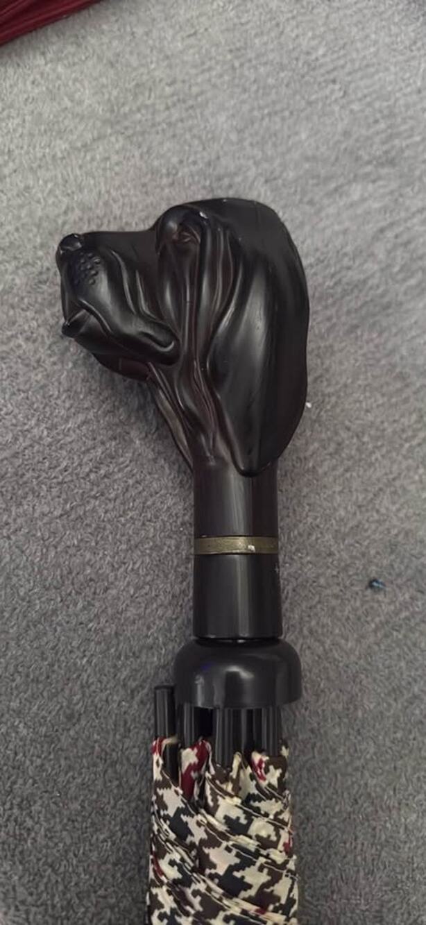 Dog hound Aramis Umbrella
